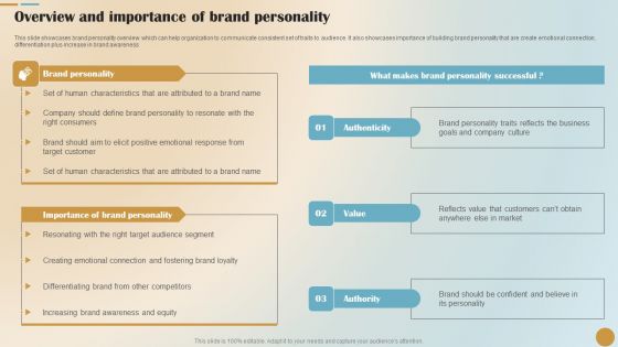 Brand Positioning And Launch Plan For Emerging Markets Overview And Importance Of Brand Brochure PDF