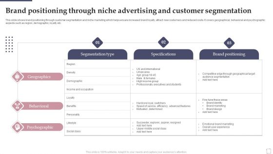 Brand Positioning Through Niche Advertising And Customer Segmentation Ppt PowerPoint Presentation File Graphics Example PDF