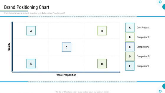 Brand Promotion And Management Plan Brand Positioning Chart Themes PDF