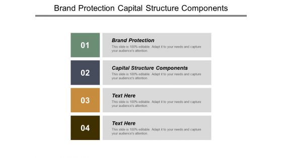 Brand Protection Capital Structure Components Ppt PowerPoint Presentation Infographic Template Visual Aids