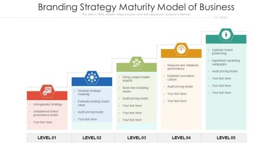 Branding Strategy Maturity Model Of Business Ppt Professional File Formats PDF