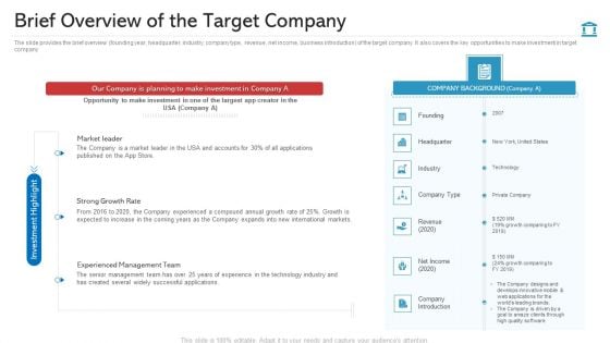 Brief Overview Of The Target Company Ideas PDF