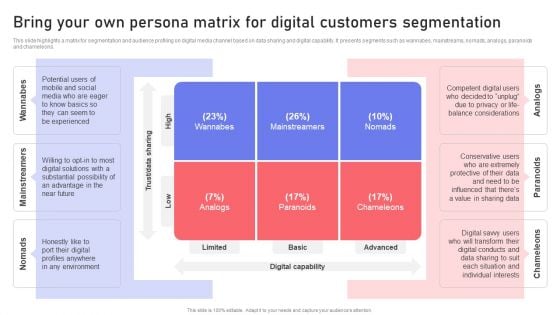 Bring Your Own Persona Matrix For Digital Customers Segmentation Rules PDF