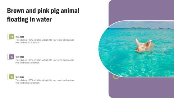 Brown And Pink Pig Animal Floating In Water Ideas PDF