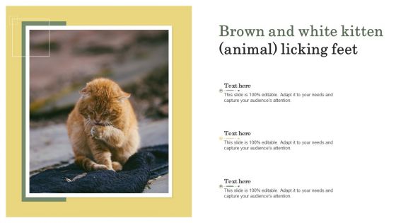 Brown And White Kitten Animal Licking Feet Ppt PowerPoint Presentation Diagram Templates PDF