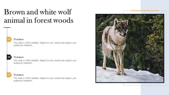 Brown And White Wolf Animal In Forest Woods Graphics PDF