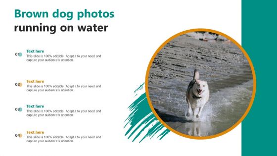 Brown Dog Photos Running On Water Ppt PowerPoint Presentation File Styles PDF