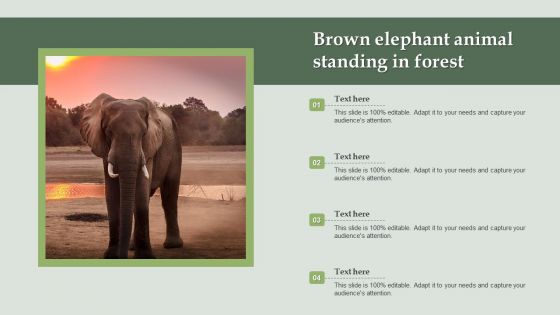 Brown Elephant Animal Standing In Forest Ppt PowerPoint Presentation Gallery Background Designs PDF