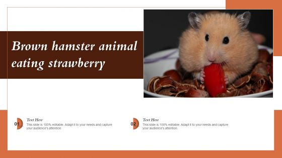 Brown Hamster Animal Eating Strawberry Ppt PowerPoint Presentation Icon Example File PDF