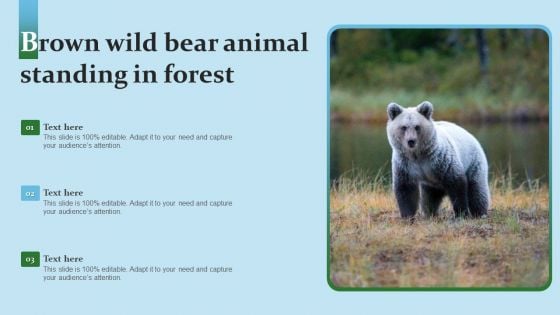 Brown Wild Bear Animal Standing In Forest Infographics PDF