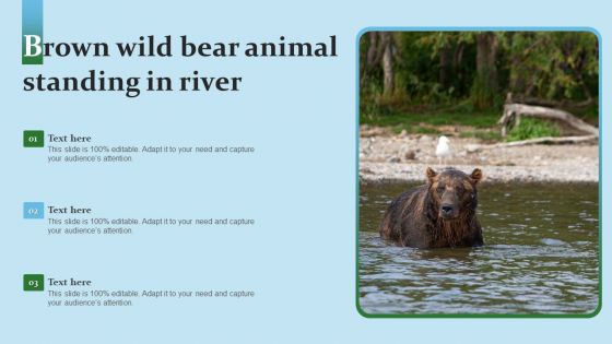 Brown Wild Bear Animal Standing In River Topics PDF