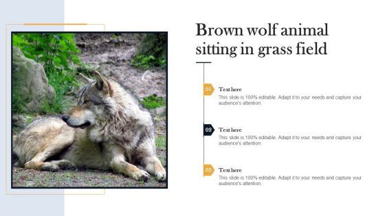 Brown Wolf Animal Sitting In Grass Field Elements PDF