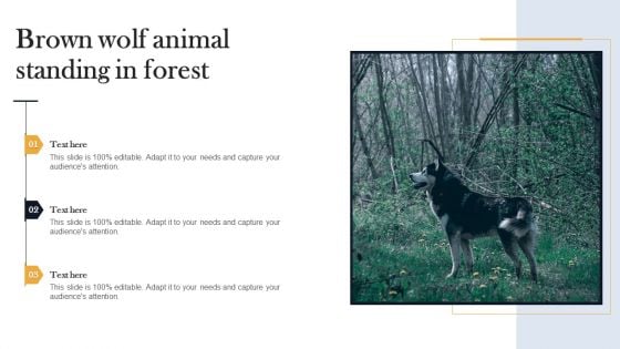 Brown Wolf Animal Standing In Forest Formats PDF