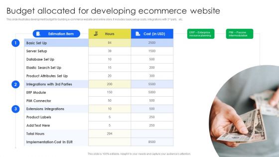 Budget Allocated For Developing Ecommerce Website Infographics PDF