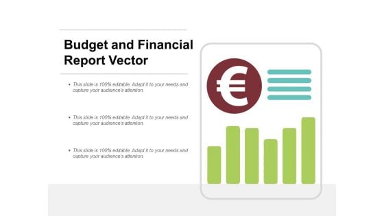 Budget And Financial Report Vector Ppt Powerpoint Presentation Summary Show