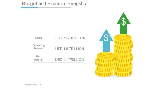 Budget And Financial Snapshot Ppt PowerPoint Presentation Example