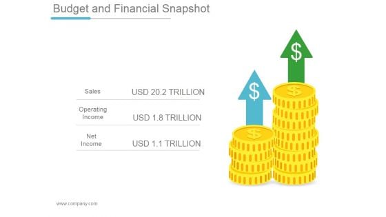 Budget And Financial Snapshot Ppt PowerPoint Presentation Example Budget And Financial Snapshot Ppt PowerPoint Presentation Example