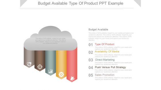 Budget Available Type Of Product Ppt Example