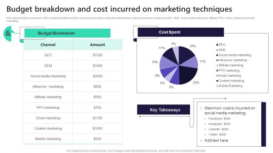 Budget Breakdown And Cost Incurred On Marketing Techniques Portrait PDF