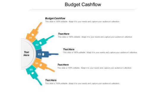 Budget Cashflow Ppt PowerPoint Presentation Inspiration Gallery