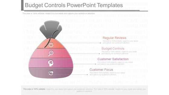 Budget Controls Powerpoint Templates