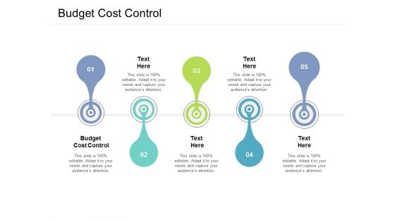 Budget Cost Control Ppt PowerPoint Presentation Inspiration Themes Cpb