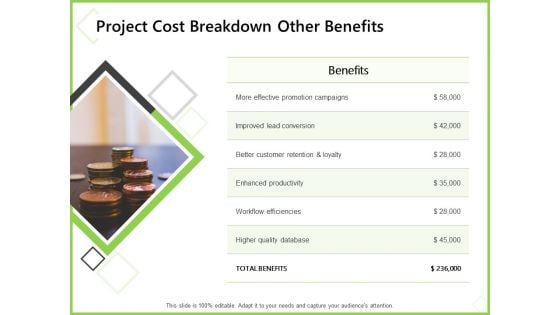 Budget Cost Project Plan Project Cost Breakdown Other Benefits Inspiration PDF