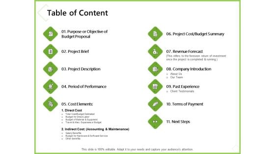 Budget Cost Project Plan Table Of Content Ppt Icon Guidelines PDF