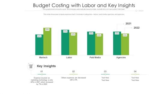 Budget Costing With Labor And Key Insights Ppt PowerPoint Presentation Styles Backgrounds PDF