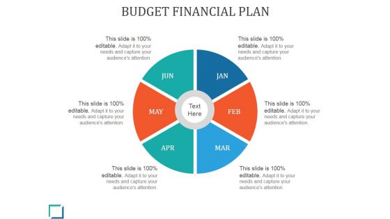 Budget Financial Plan Template 1 Ppt PowerPoint Presentation Layout