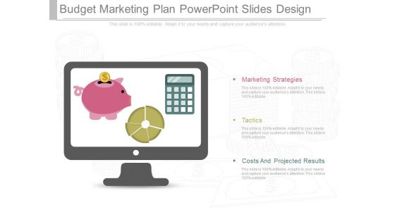 Budget Marketing Plan Powerpoint Slides Design