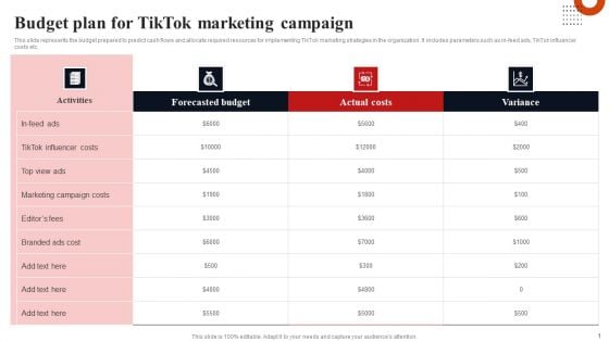 Budget Plan For Tiktok Marketing Campaign Themes PDF