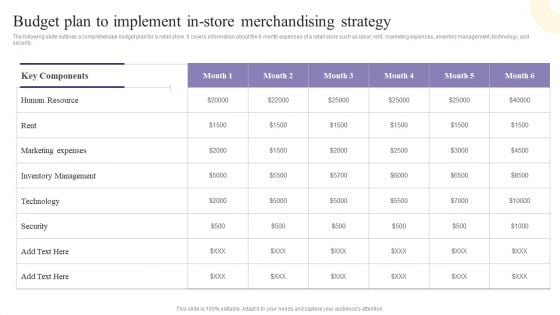 Budget Plan To Implement In Store Merchandising Strategy Background PDF