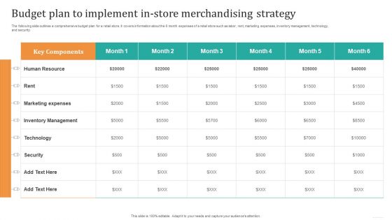 Budget Plan To Implement In Store Merchandising Strategy Download PDF