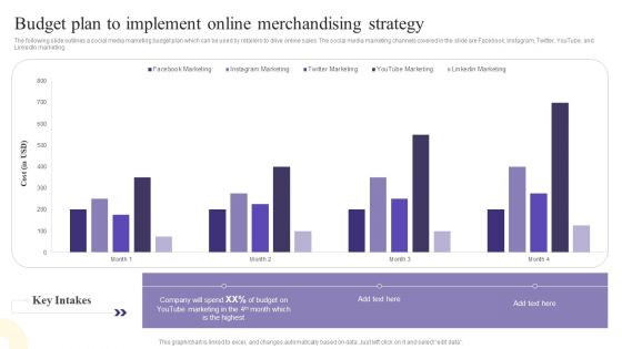 Budget Plan To Implement Online Merchandising Strategy Guidelines PDF