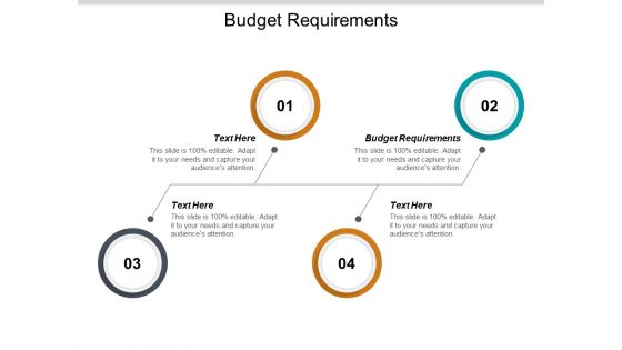 Budget Requirements Ppt PowerPoint Presentation Summary Examples Cpb