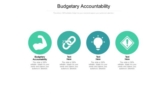 Budgetary Accountability Ppt PowerPoint Presentation Infographic Template Topics Cpb