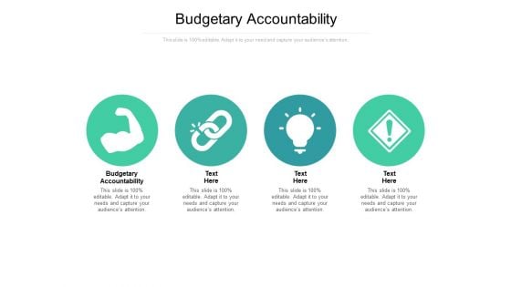 Budgetary Accountability Ppt PowerPoint Presentation Infographic Template Topics Cpb