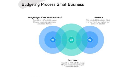 Budgeting Process Small Business Ppt PowerPoint Presentation Summary Professional Cpb