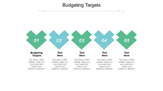 Budgeting Targets Ppt PowerPoint Presentation Slides Examples Cpb