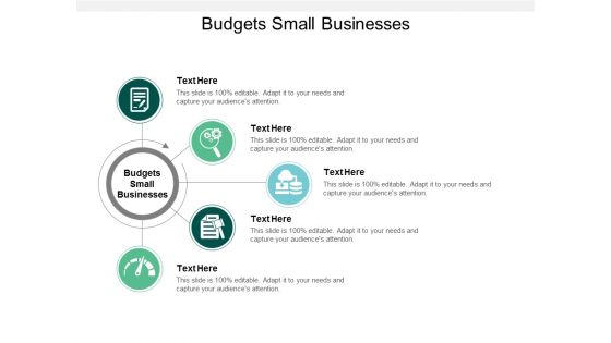 Budgets Small Businesses Ppt PowerPoint Presentation Styles Skills Cpb