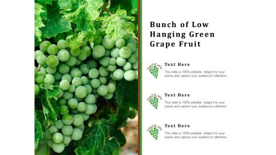 Bunch Of Low Hanging Green Grape Fruit Ppt PowerPoint Presentation Icon Professional PDF