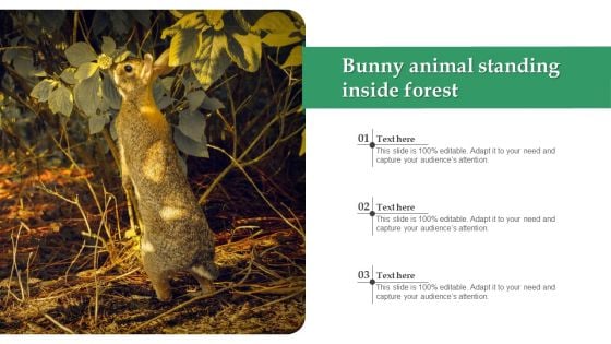 Bunny Animal Standing Inside Forest Graphics PDF
