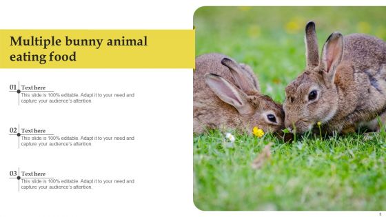 Bunny Images Animal Ppt PowerPoint Presentation Complete Deck With Slides