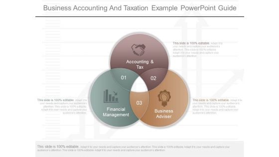 Business Accounting And Taxation Example Powerpoint Guide