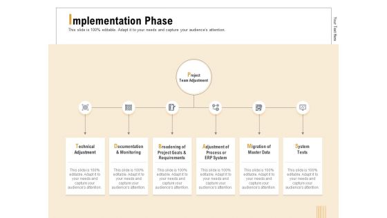 Business Activity Flows Optimization Implementation Phase Ppt PowerPoint Presentation Portfolio Smartart PDF