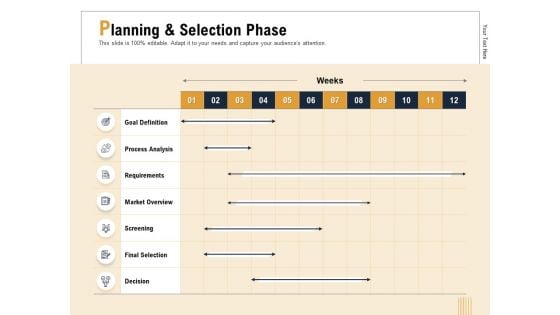 Business Activity Flows Optimization Planning And Selection Phase Ppt PowerPoint Presentation Slides Infographic Template PDF