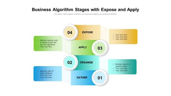 Business Algorithm Stages With Expose And Apply Ppt PowerPoint Presentation File Picture PDF