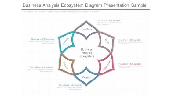 Business Analysis Ecosystem Diagram Presentation Sample