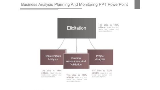 Business Analysis Planning And Monitoring Ppt Powerpoint